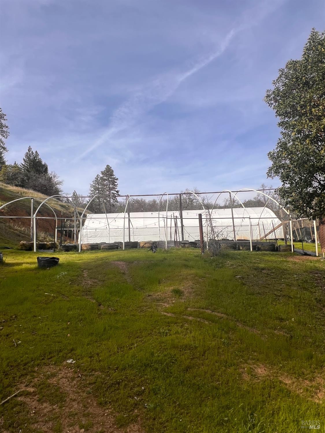 Detail Gallery Image 16 of 37 For 78951 Zenia Rd, Covelo,  CA 95428 - 3 Beds | 1/1 Baths