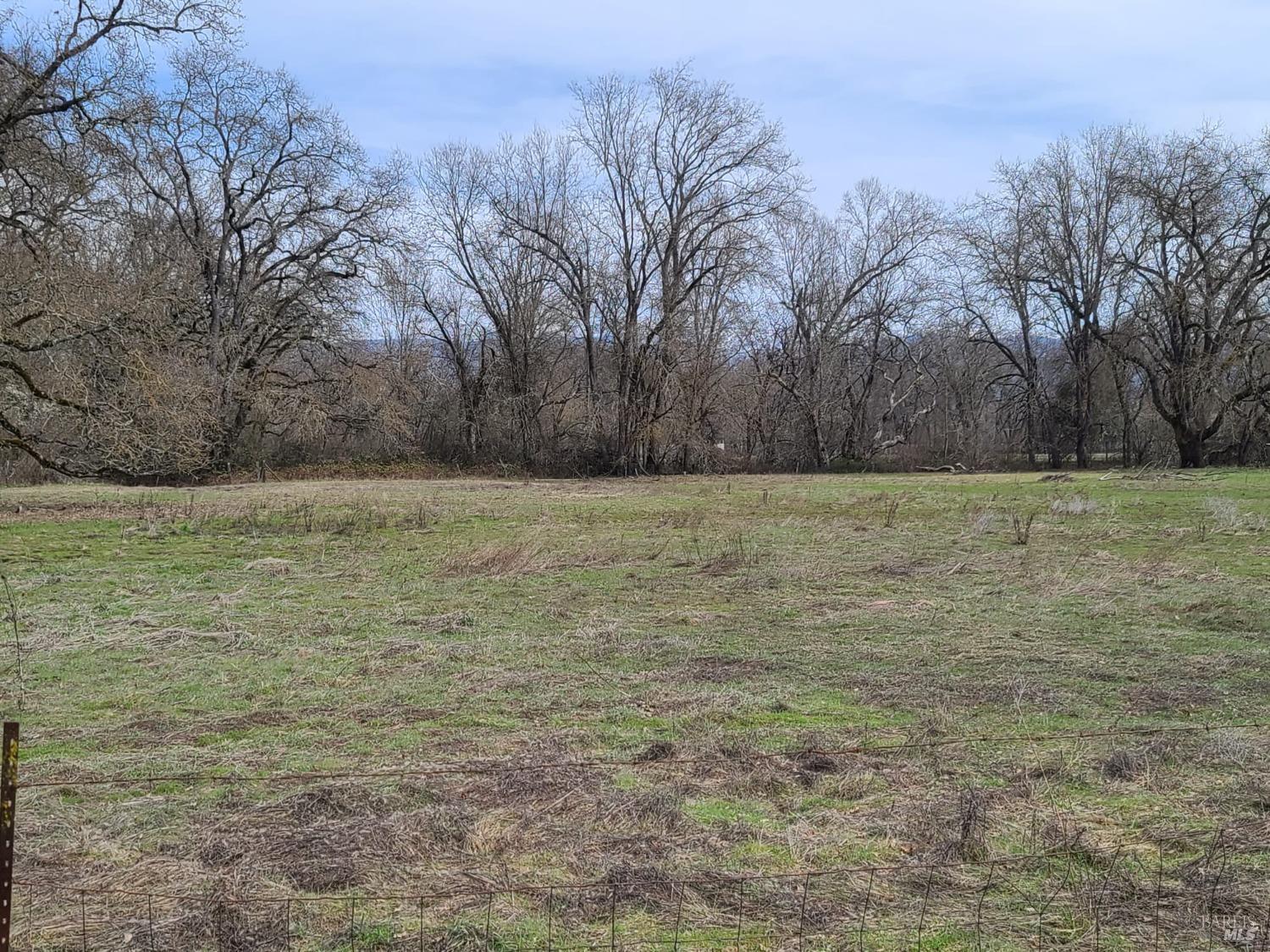 Detail Gallery Image 9 of 43 For 75589 Covelo Rd, Covelo,  CA 95428 - 2 Beds | 1 Baths