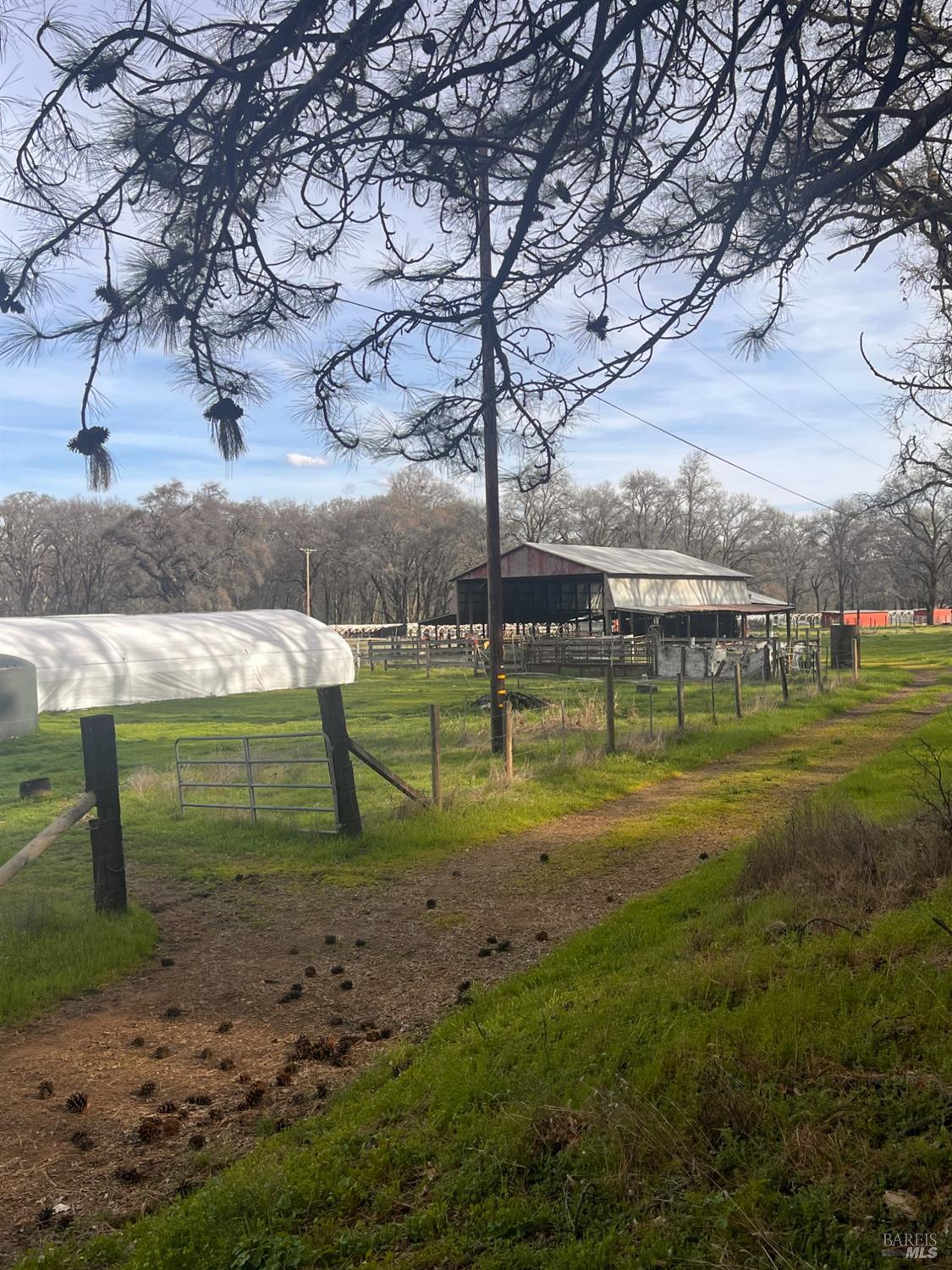 Detail Gallery Image 31 of 37 For 78951 Zenia Rd, Covelo,  CA 95428 - 3 Beds | 1/1 Baths