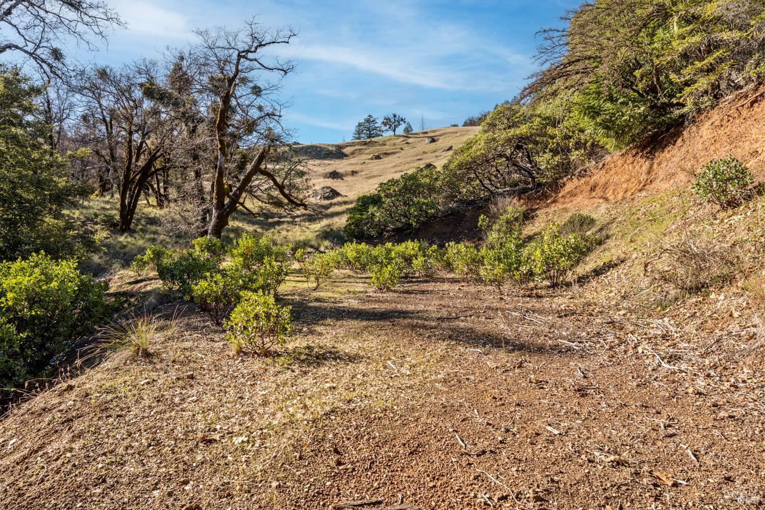 Detail Gallery Image 27 of 49 For Address Is Not Disclosed, Laytonville,  CA 95454 - 1 Beds | 1/1 Baths