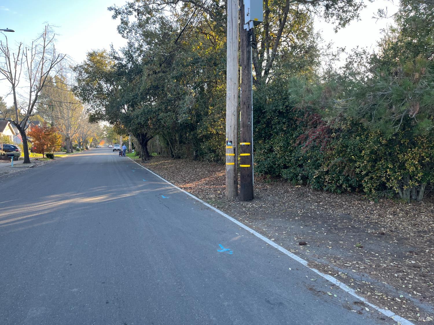 Detail Gallery Image 19 of 20 For 1055 Wright St, Santa Rosa,  CA 95404 - – Beds | – Baths