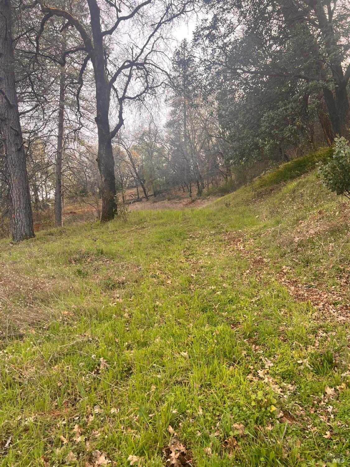 Detail Gallery Image 27 of 37 For 78951 Zenia Rd, Covelo,  CA 95428 - 3 Beds | 1/1 Baths