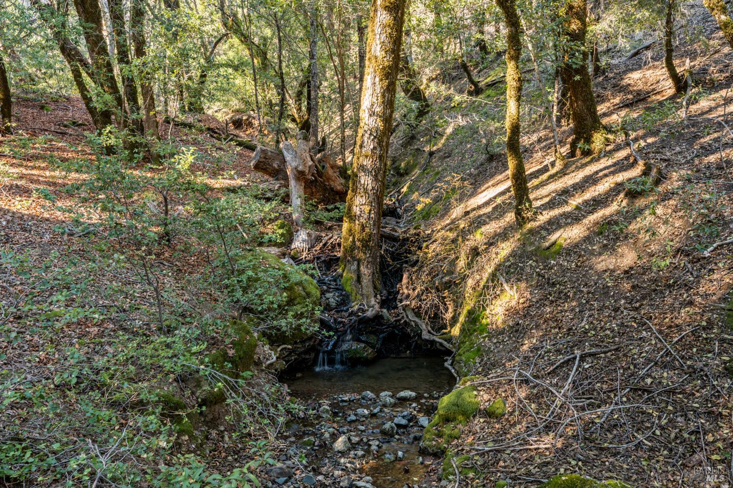 Detail Gallery Image 30 of 49 For Address Is Not Disclosed, Laytonville,  CA 95454 - 1 Beds | 1/1 Baths