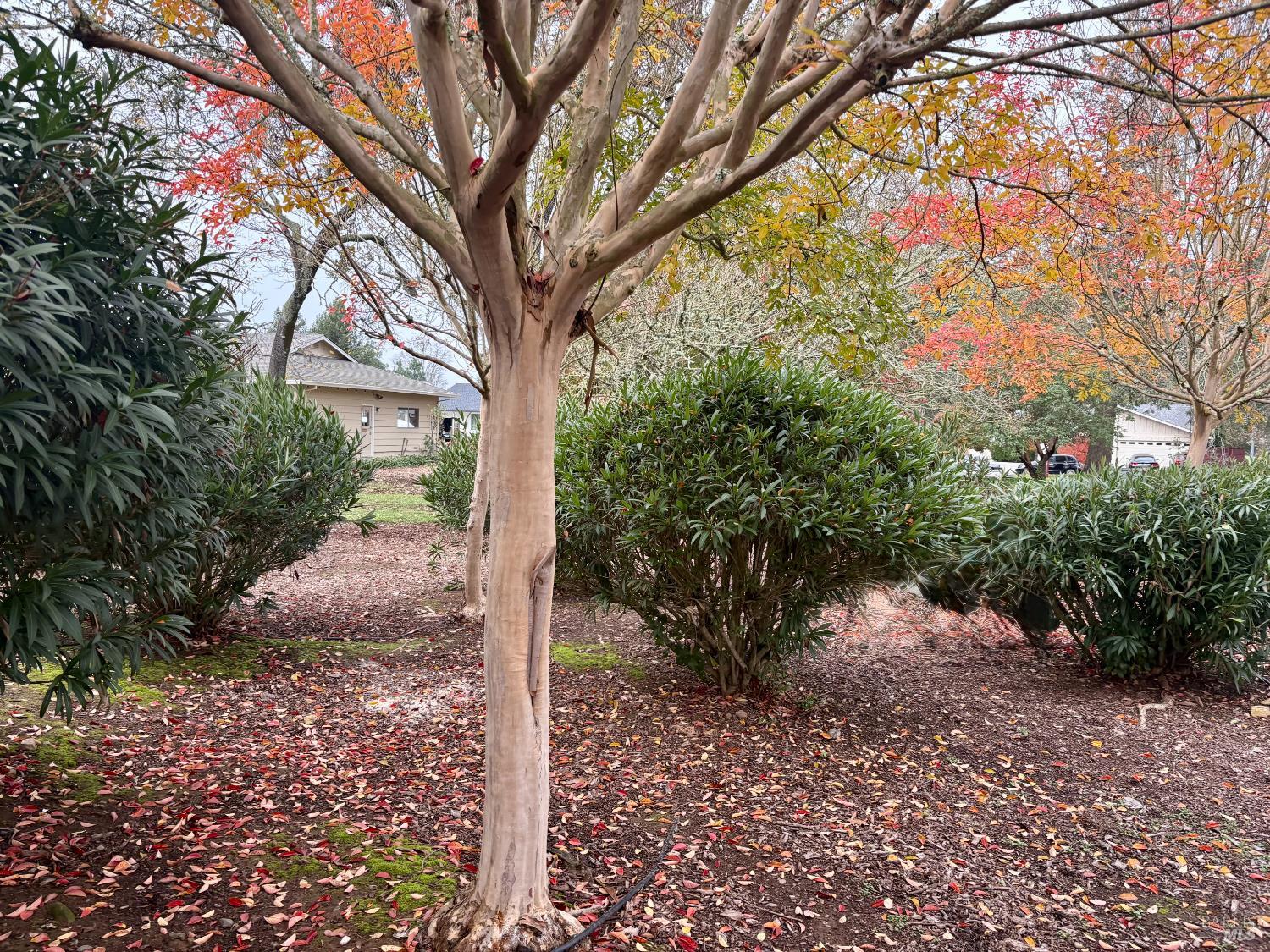 Detail Gallery Image 22 of 24 For 514 Oak Vista Ln, Santa Rosa,  CA 95409 - 2 Beds | 2 Baths