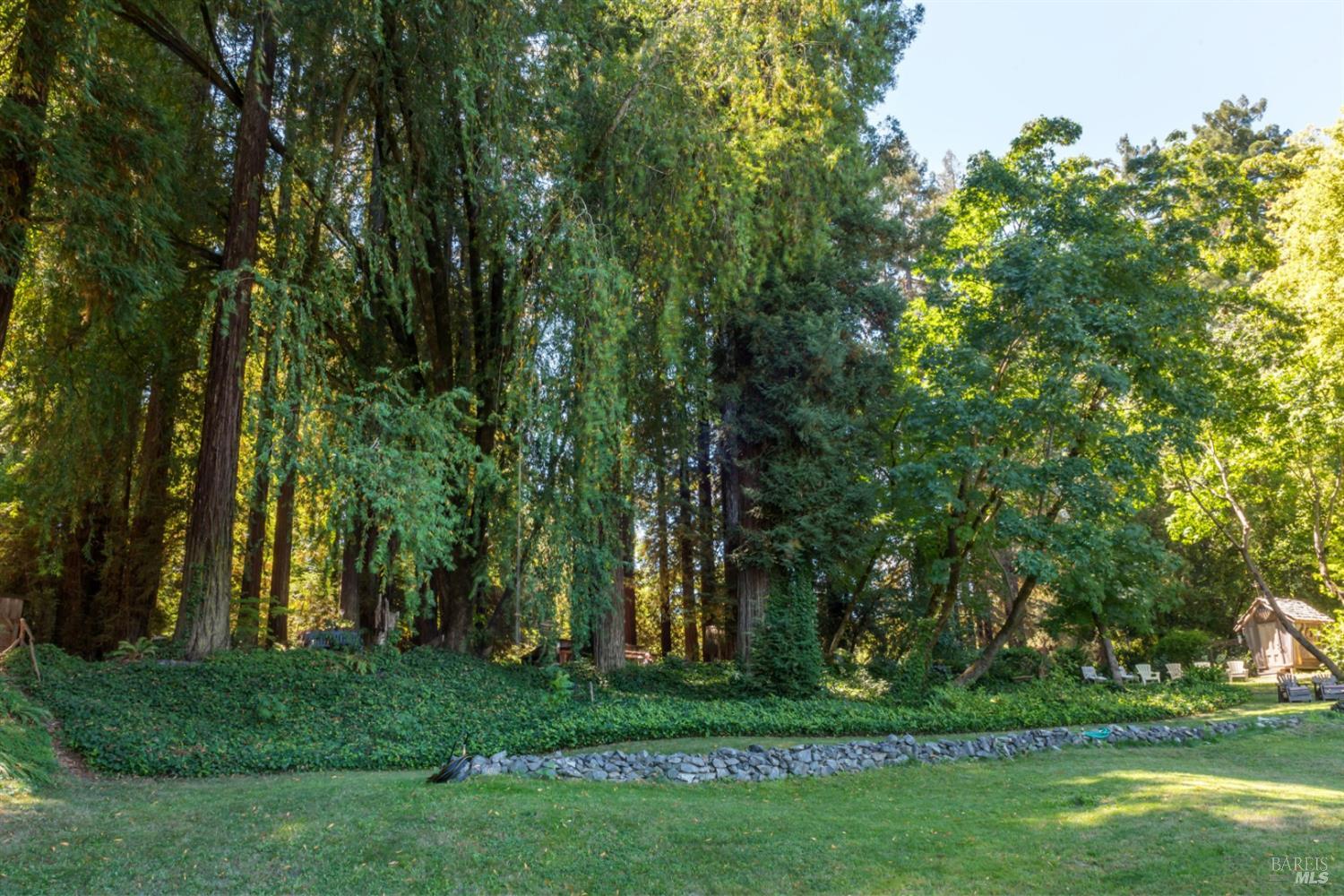 Detail Gallery Image 3 of 19 For Address Is Not Disclosed, Forestville,  CA 95436 - – Beds | – Baths