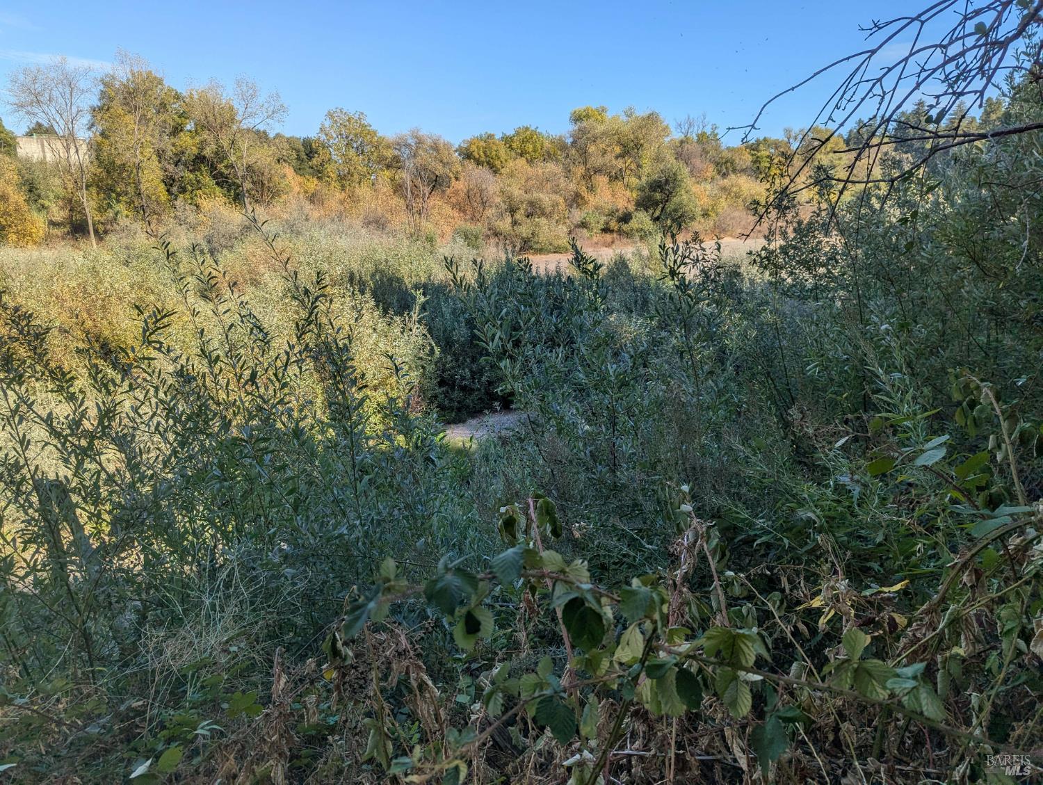 Detail Gallery Image 17 of 19 For Address Is Not Disclosed, Forestville,  CA 95436 - – Beds | – Baths