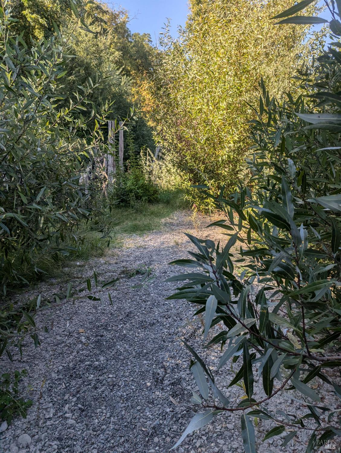 Detail Gallery Image 8 of 19 For Address Is Not Disclosed, Forestville,  CA 95436 - – Beds | – Baths