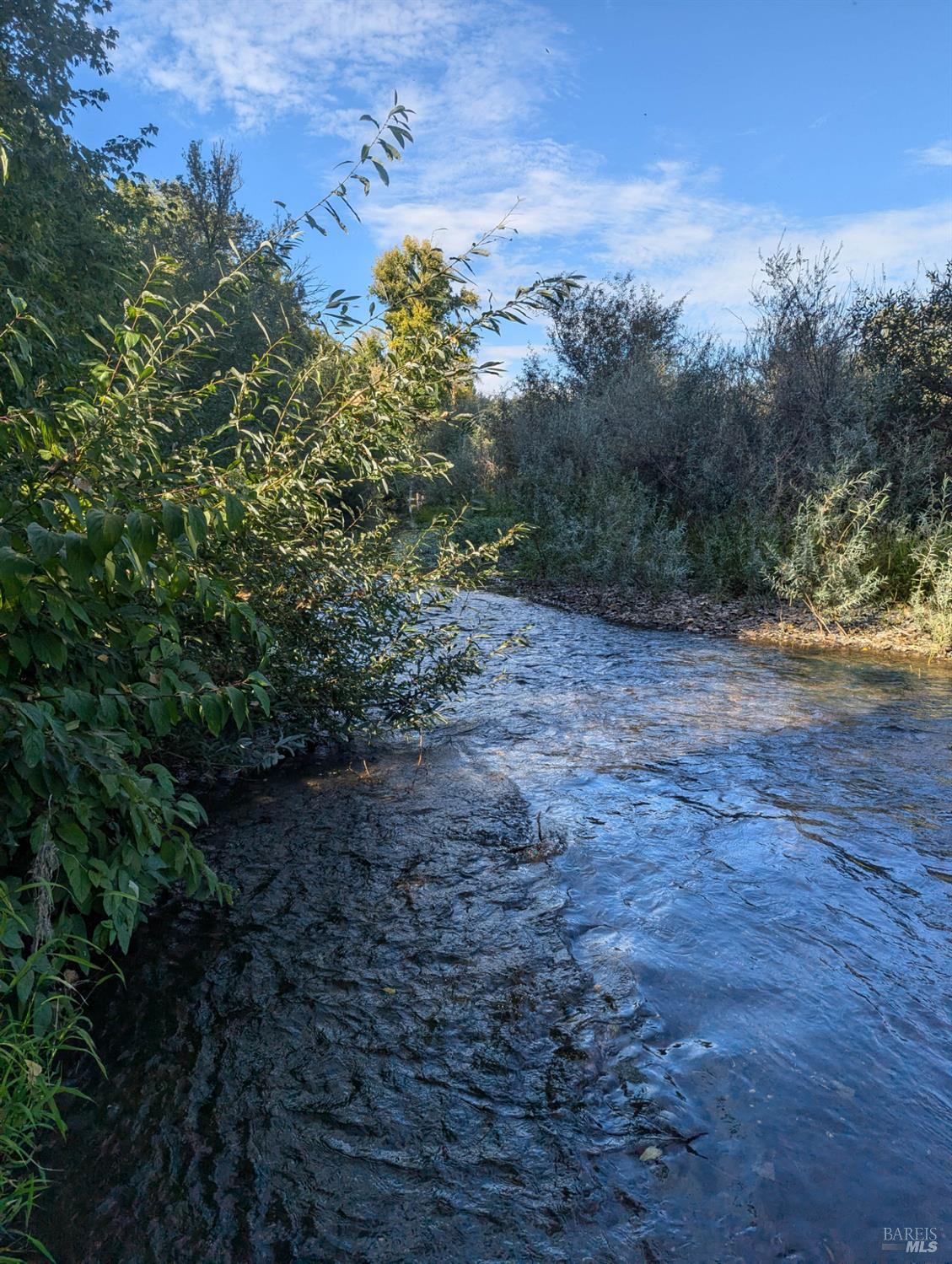 Detail Gallery Image 7 of 19 For Address Is Not Disclosed, Forestville,  CA 95436 - – Beds | – Baths