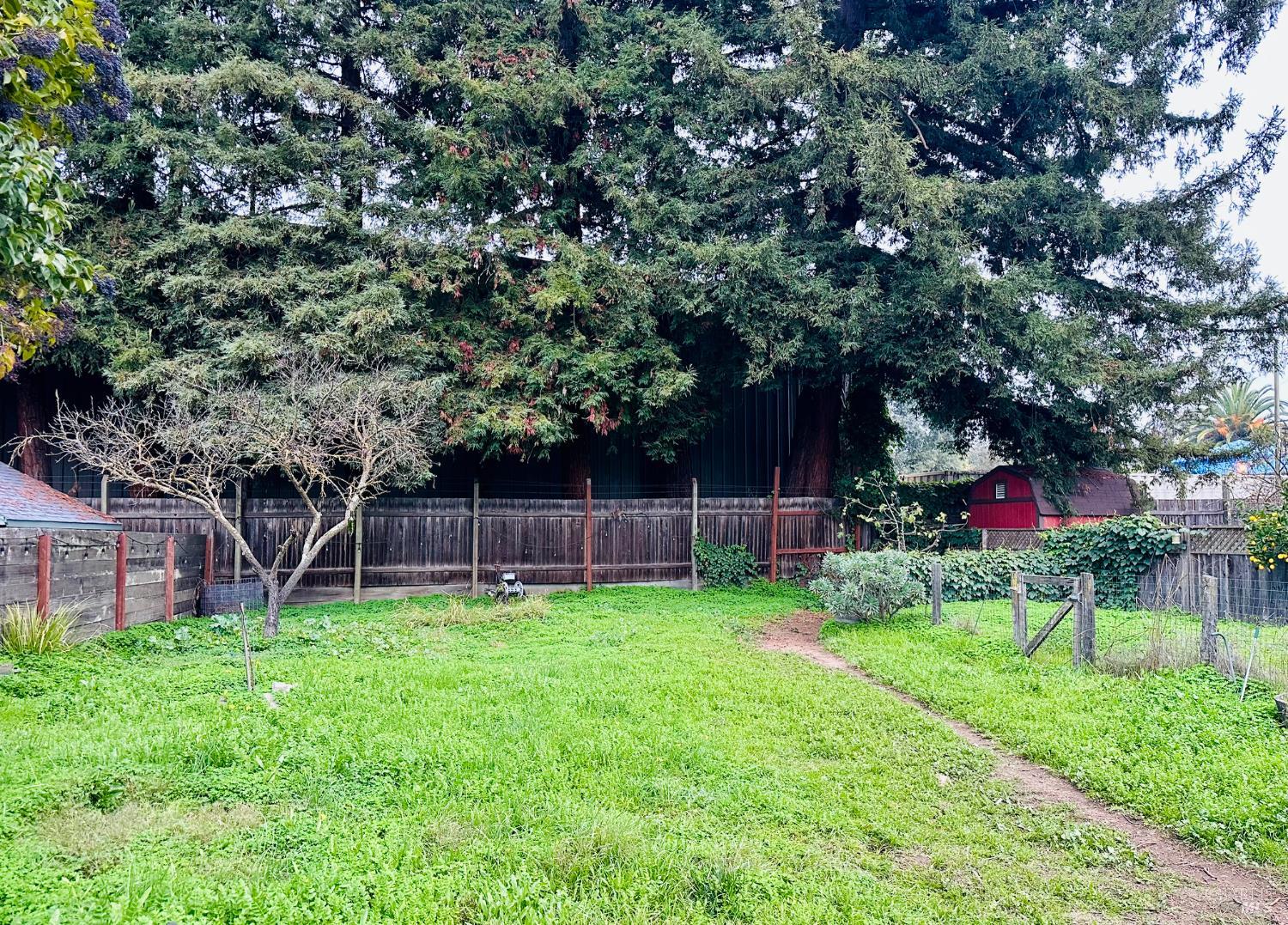 Detail Gallery Image 29 of 33 For 108 Pierson St, Santa Rosa,  CA 95401 - 2 Beds | 1 Baths