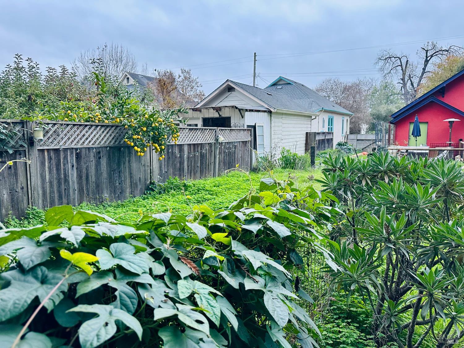 Detail Gallery Image 32 of 33 For 108 Pierson St, Santa Rosa,  CA 95401 - 2 Beds | 1 Baths