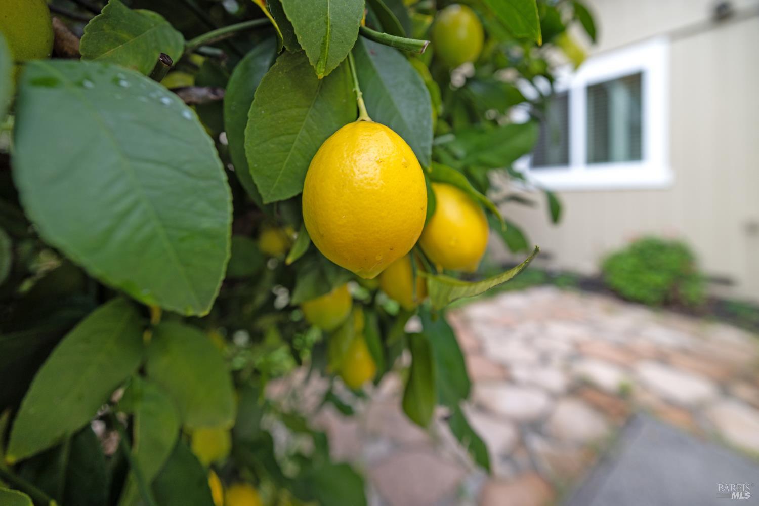 Detail Gallery Image 45 of 45 For 7103 Overlook Dr, Santa Rosa,  CA 95409 - 3 Beds | 2 Baths