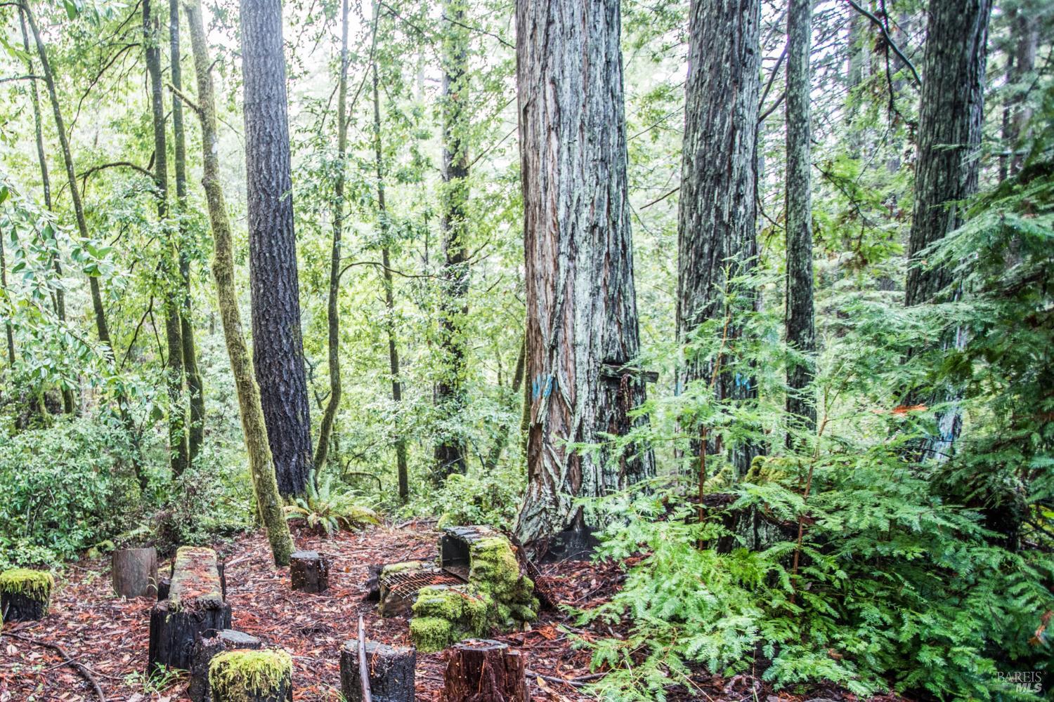 Detail Gallery Image 7 of 42 For 11091 Irmulco Rd, Willits,  CA 95490 - 4 Beds | 2 Baths