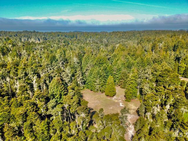 Detail Gallery Image 4 of 19 For 43535 Comptche-Ukiah Rd, Mendocino,  CA 95460 - – Beds | – Baths