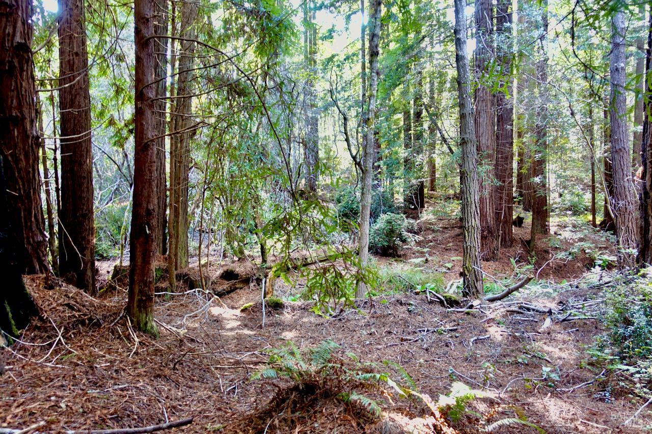 Detail Gallery Image 15 of 19 For 43535 Comptche-Ukiah Rd, Mendocino,  CA 95460 - – Beds | – Baths