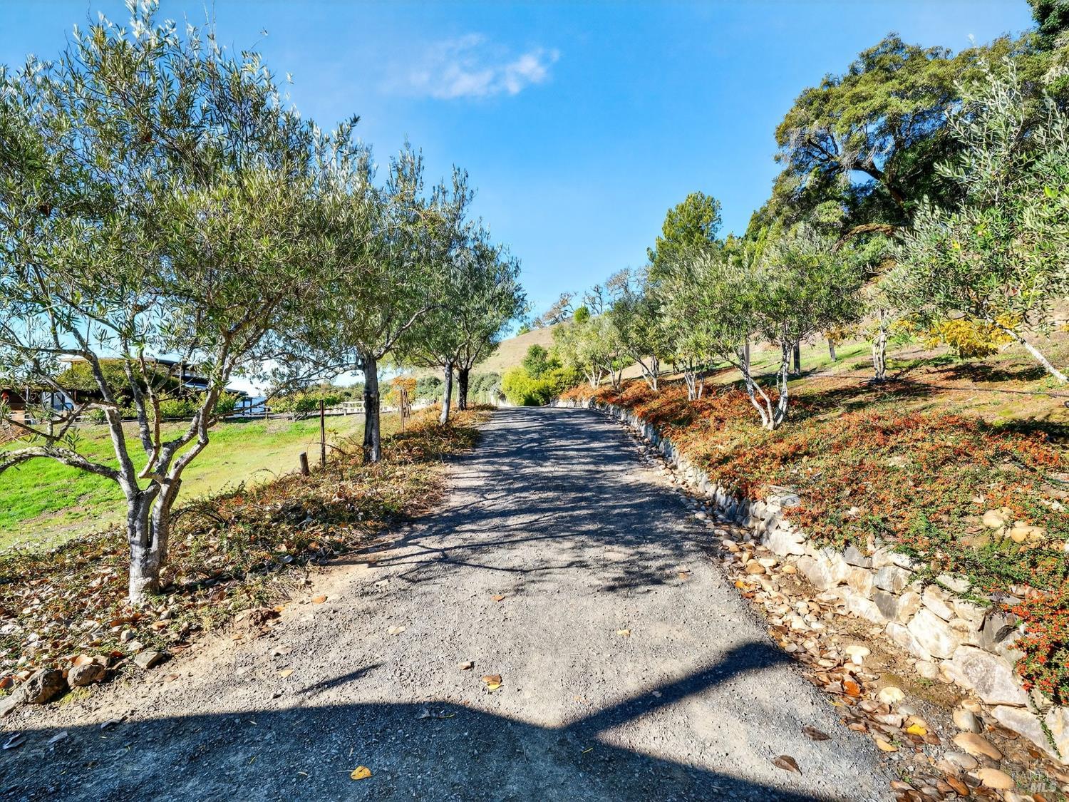 Detail Gallery Image 5 of 65 For 17350 Deer Meadows Rd, Boonville,  CA 95415 - 3 Beds | 2 Baths