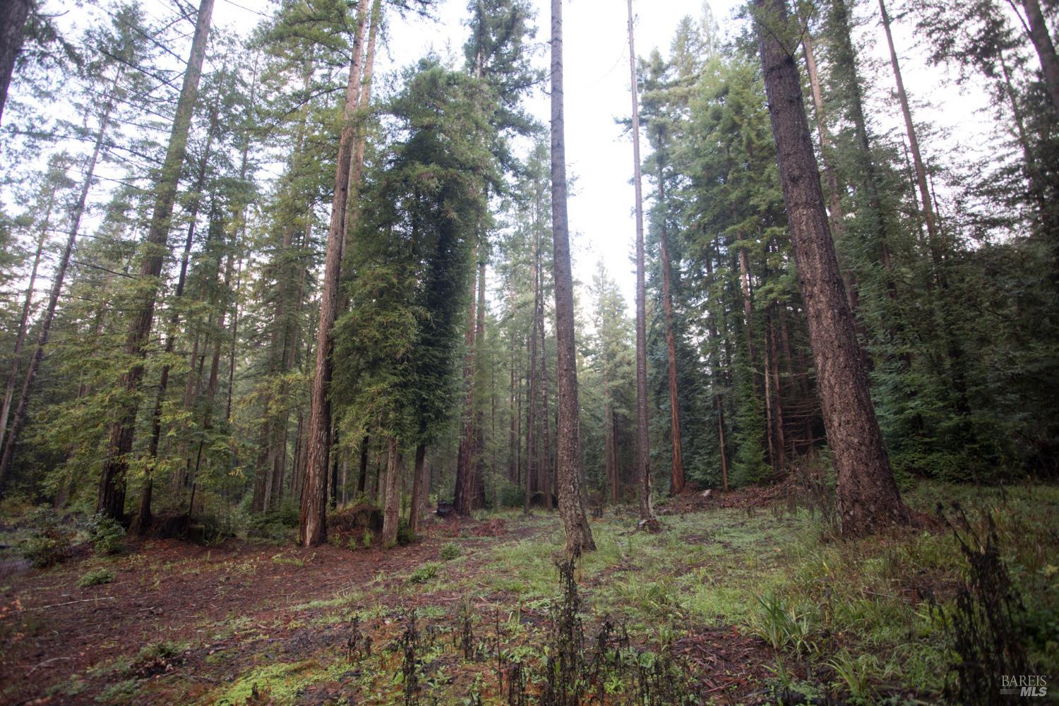 Detail Gallery Image 24 of 42 For 11091 Irmulco Rd, Willits,  CA 95490 - 4 Beds | 2 Baths