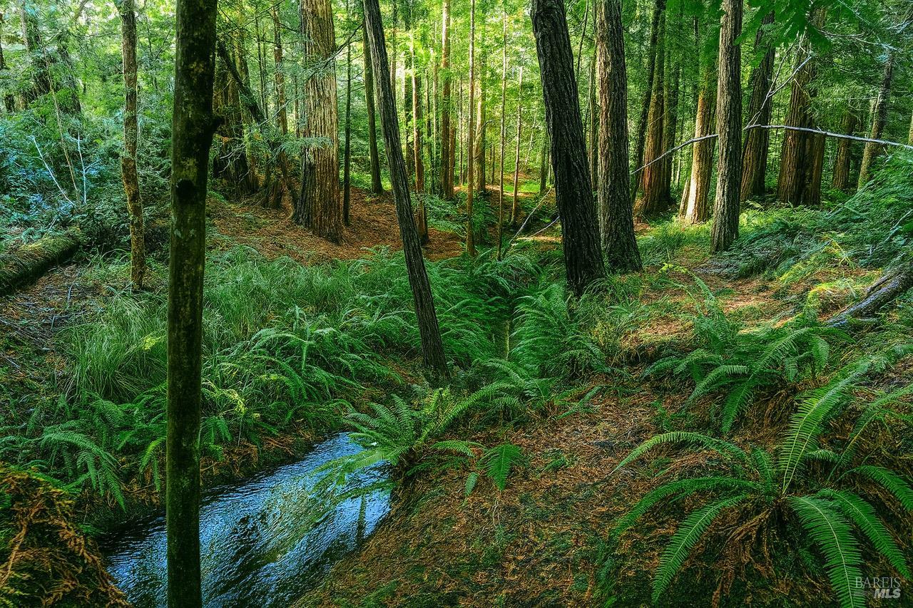 Detail Gallery Image 14 of 19 For 43535 Comptche-Ukiah Rd, Mendocino,  CA 95460 - – Beds | – Baths