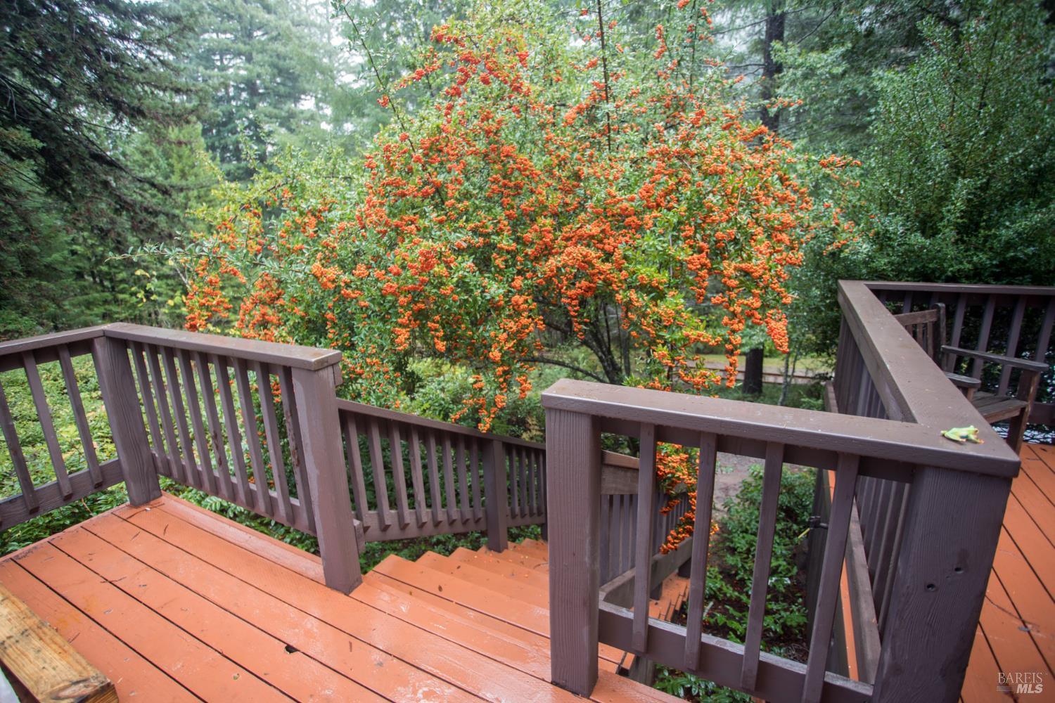 Detail Gallery Image 20 of 42 For 11091 Irmulco Rd, Willits,  CA 95490 - 4 Beds | 2 Baths