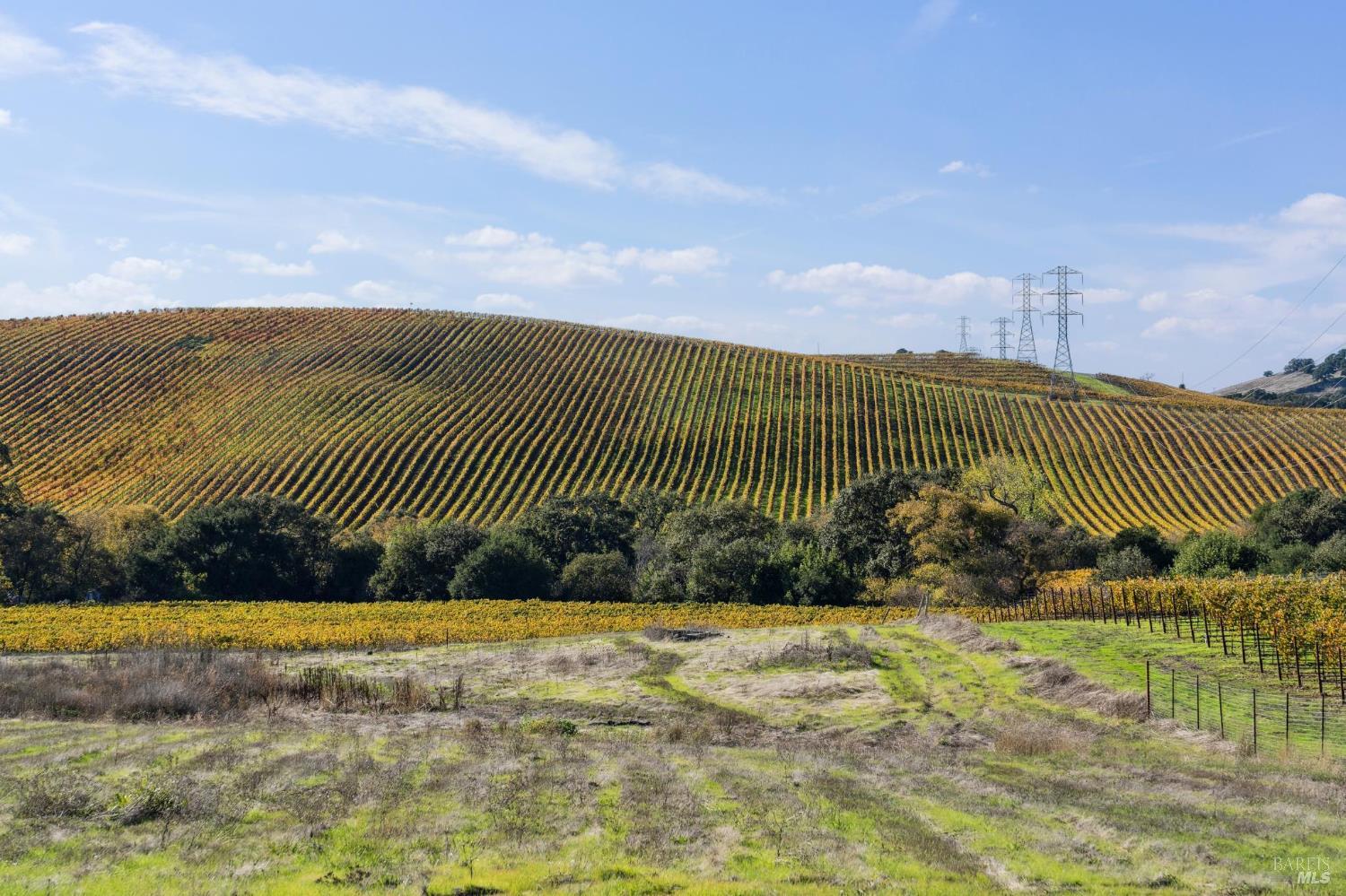 Detail Gallery Image 48 of 65 For 1301 Duhig Rd, Napa,  CA 94559 - 3 Beds | 2 Baths