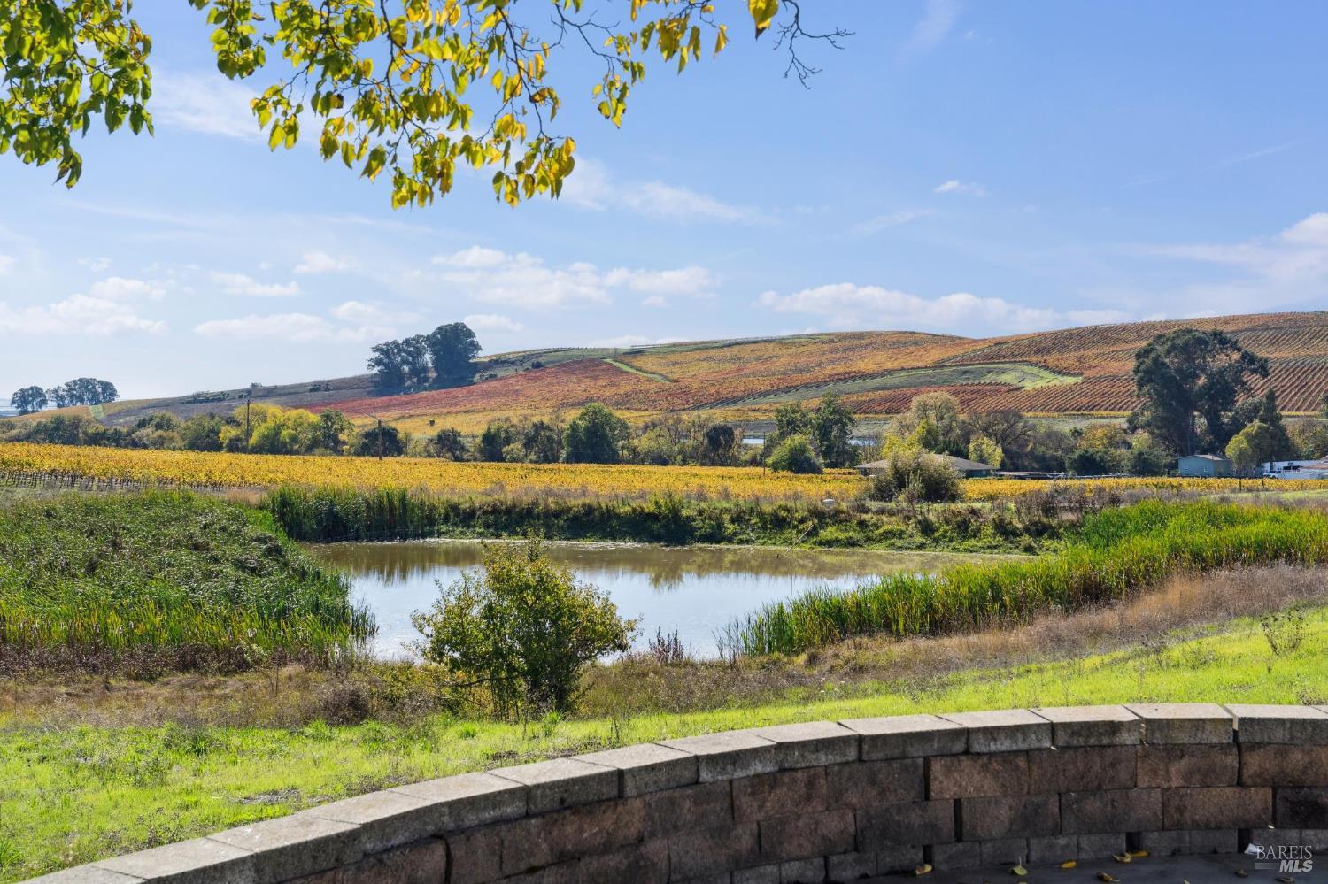 Detail Gallery Image 51 of 65 For 1301 Duhig Rd, Napa,  CA 94559 - 3 Beds | 2 Baths