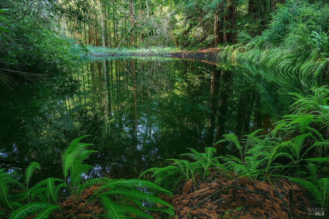 Detail Gallery Image 8 of 19 For 43535 Comptche-Ukiah Rd, Mendocino,  CA 95460 - – Beds | – Baths