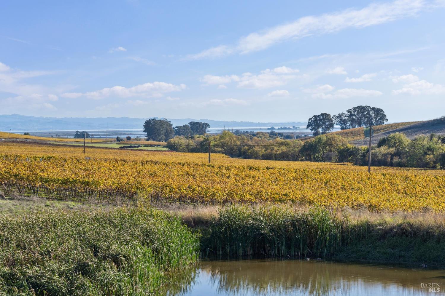 Detail Gallery Image 52 of 65 For 1301 Duhig Rd, Napa,  CA 94559 - 3 Beds | 2 Baths