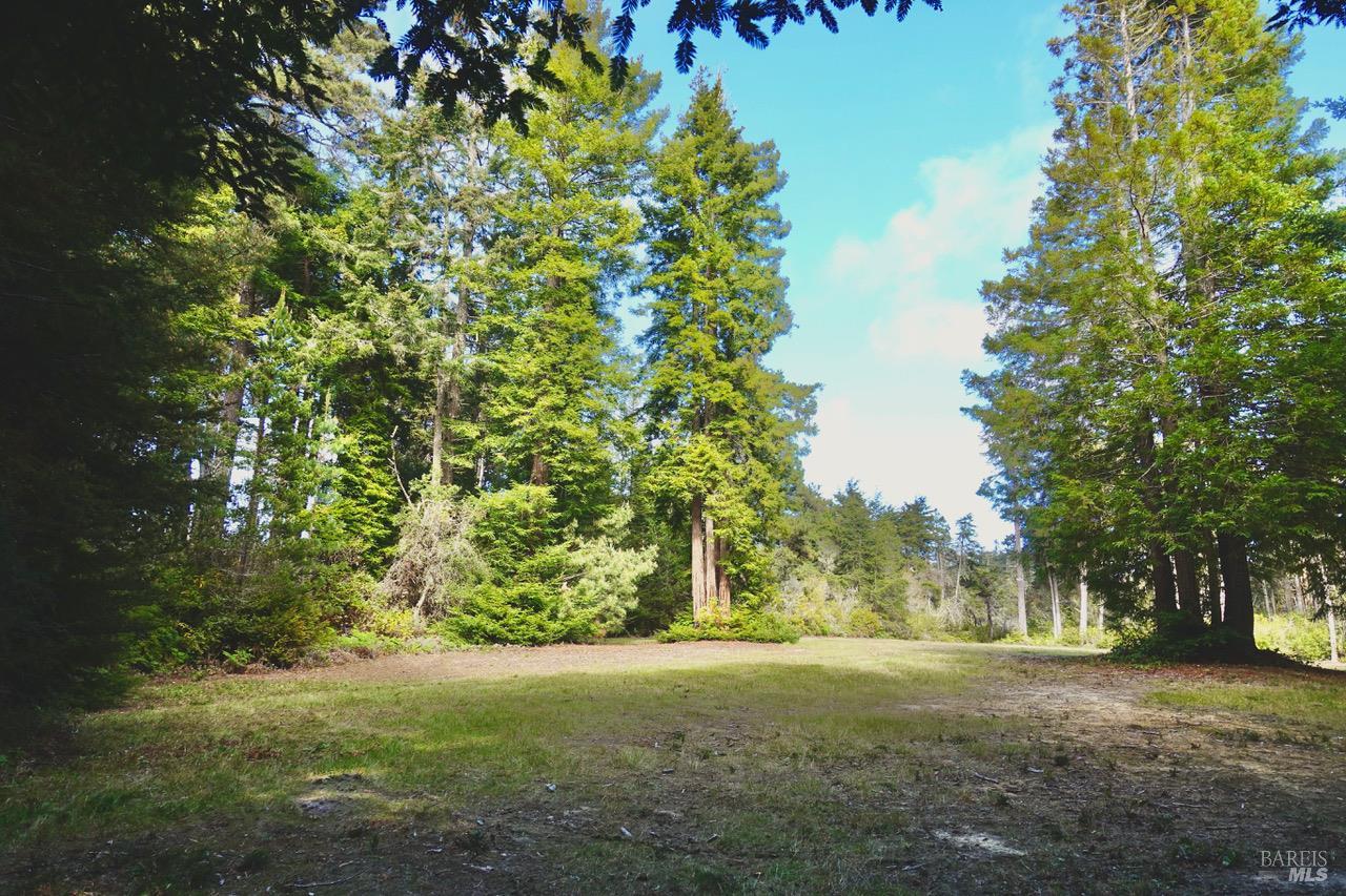 Detail Gallery Image 12 of 19 For 43535 Comptche-Ukiah Rd, Mendocino,  CA 95460 - – Beds | – Baths