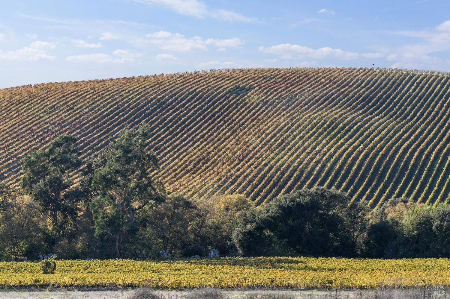 Detail Gallery Image 57 of 65 For 1301 Duhig Rd, Napa,  CA 94559 - 3 Beds | 2 Baths