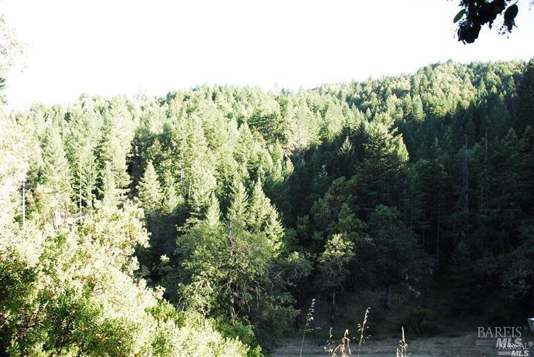 Detail Gallery Image 9 of 9 For 8555 Cave Creek Rd, Redwood Valley,  CA 95470 - 2 Beds | 2 Baths