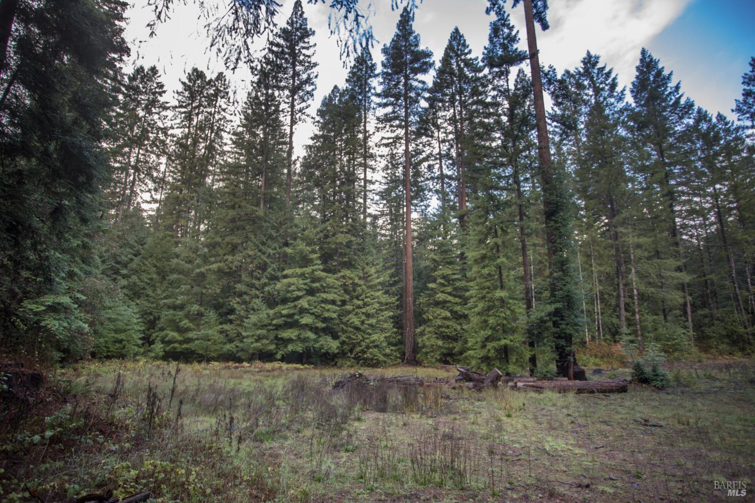 Detail Gallery Image 13 of 42 For 11091 Irmulco Rd, Willits,  CA 95490 - 4 Beds | 2 Baths