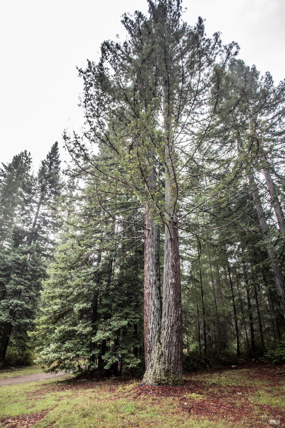 Detail Gallery Image 27 of 42 For 11091 Irmulco Rd, Willits,  CA 95490 - 4 Beds | 2 Baths