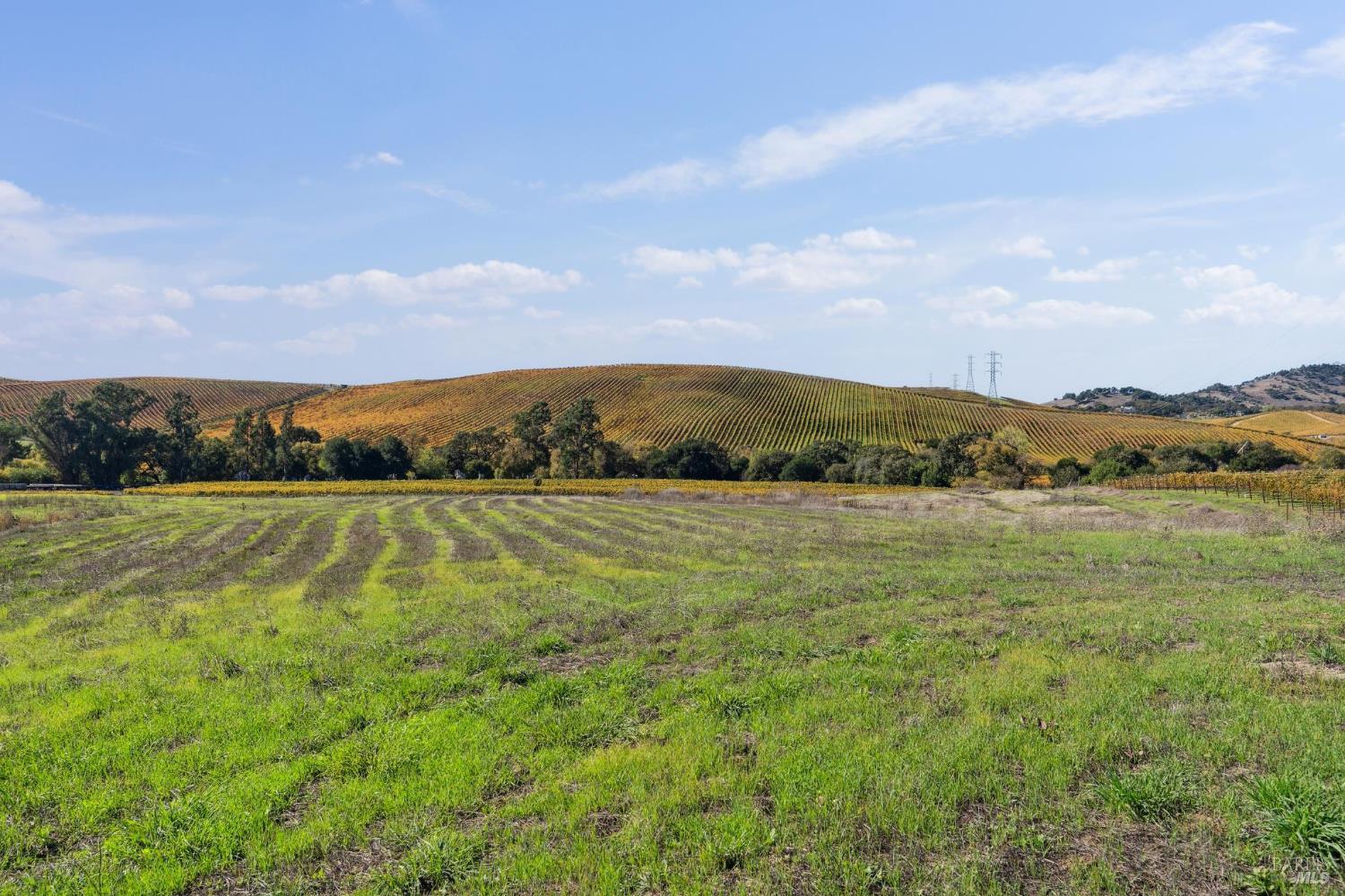 Detail Gallery Image 56 of 65 For 1301 Duhig Rd, Napa,  CA 94559 - 3 Beds | 2 Baths