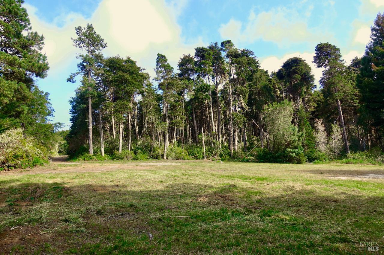 Detail Gallery Image 7 of 19 For 43535 Comptche-Ukiah Rd, Mendocino,  CA 95460 - – Beds | – Baths