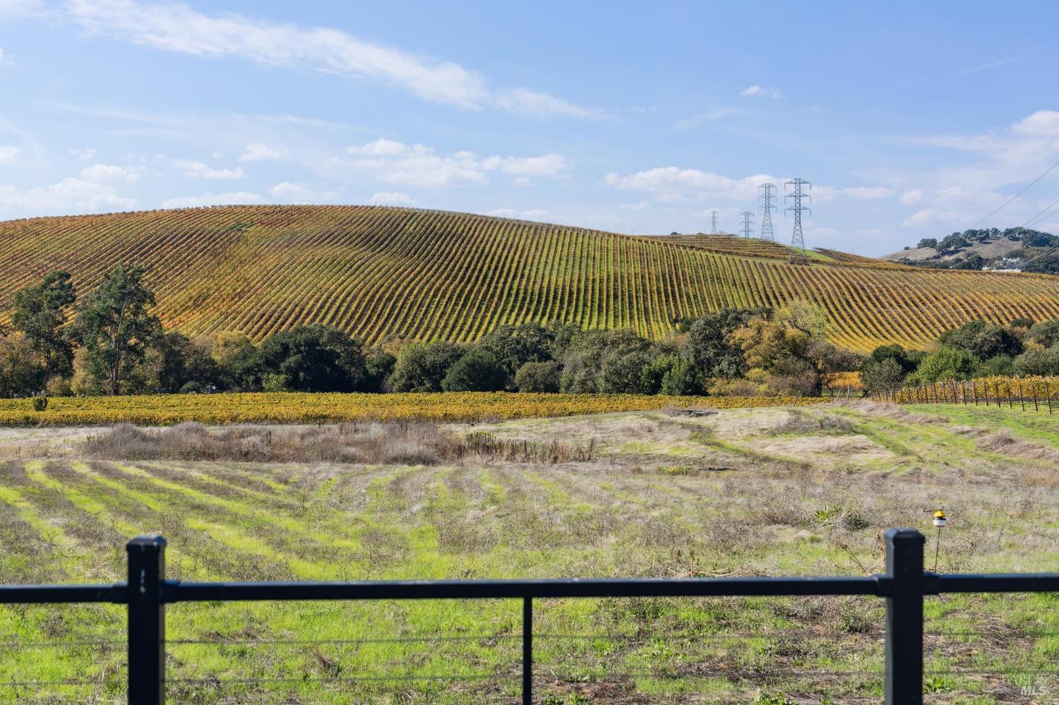 Detail Gallery Image 55 of 65 For 1301 Duhig Rd, Napa,  CA 94559 - 3 Beds | 2 Baths