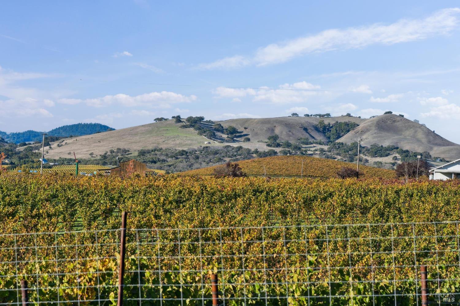 Detail Gallery Image 54 of 65 For 1301 Duhig Rd, Napa,  CA 94559 - 3 Beds | 2 Baths