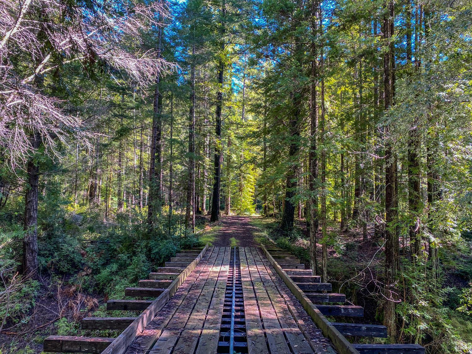 Detail Gallery Image 39 of 42 For 11091 Irmulco Rd, Willits,  CA 95490 - 4 Beds | 2 Baths