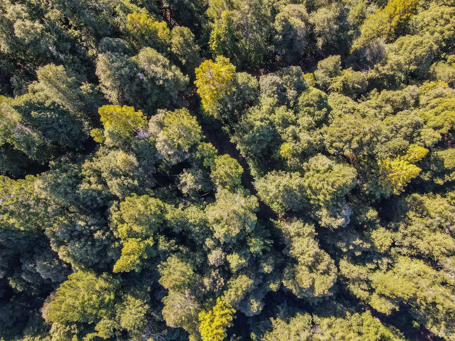 Detail Gallery Image 42 of 42 For 11091 Irmulco Rd, Willits,  CA 95490 - 4 Beds | 2 Baths