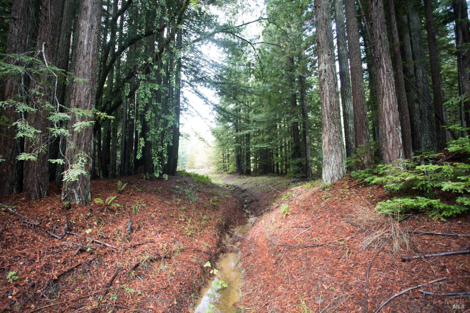 Detail Gallery Image 36 of 42 For 11091 Irmulco Rd, Willits,  CA 95490 - 4 Beds | 2 Baths