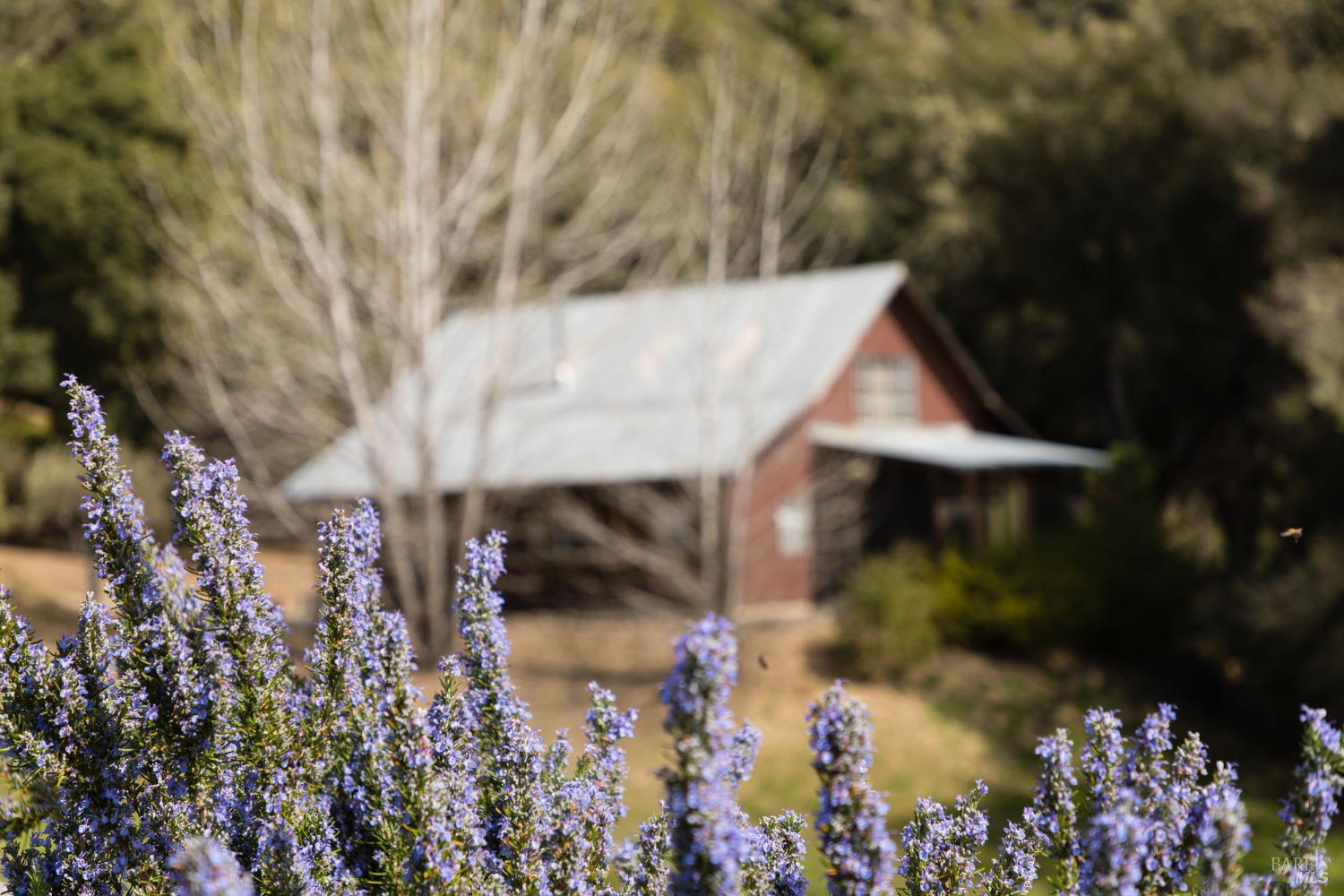 Detail Gallery Image 62 of 65 For 17350 Deer Meadows Rd, Boonville,  CA 95415 - 3 Beds | 2 Baths