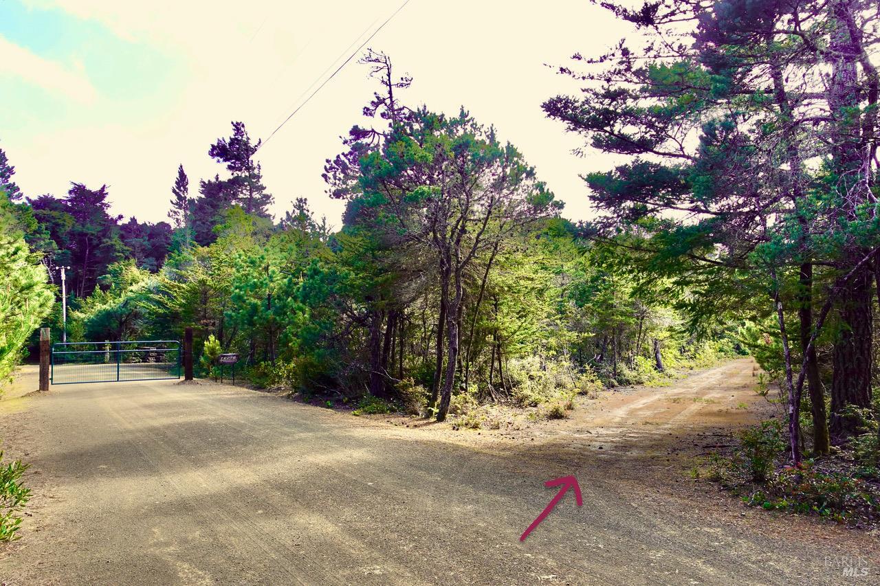 Detail Gallery Image 5 of 19 For 43535 Comptche-Ukiah Rd, Mendocino,  CA 95460 - – Beds | – Baths