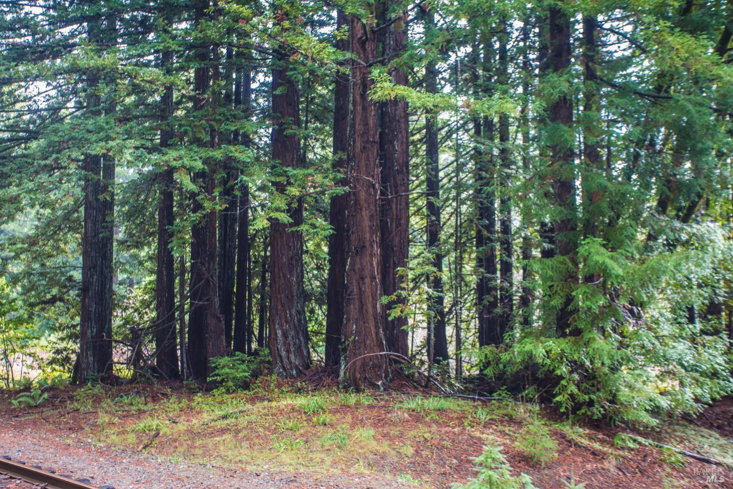 Detail Gallery Image 37 of 42 For 11091 Irmulco Rd, Willits,  CA 95490 - 4 Beds | 2 Baths