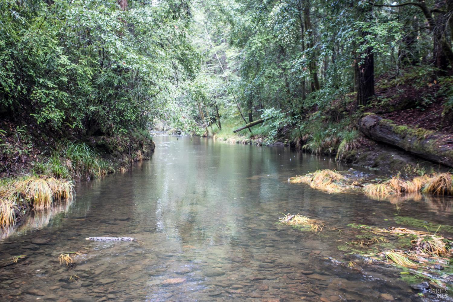Detail Gallery Image 3 of 42 For 11091 Irmulco Rd, Willits,  CA 95490 - 4 Beds | 2 Baths