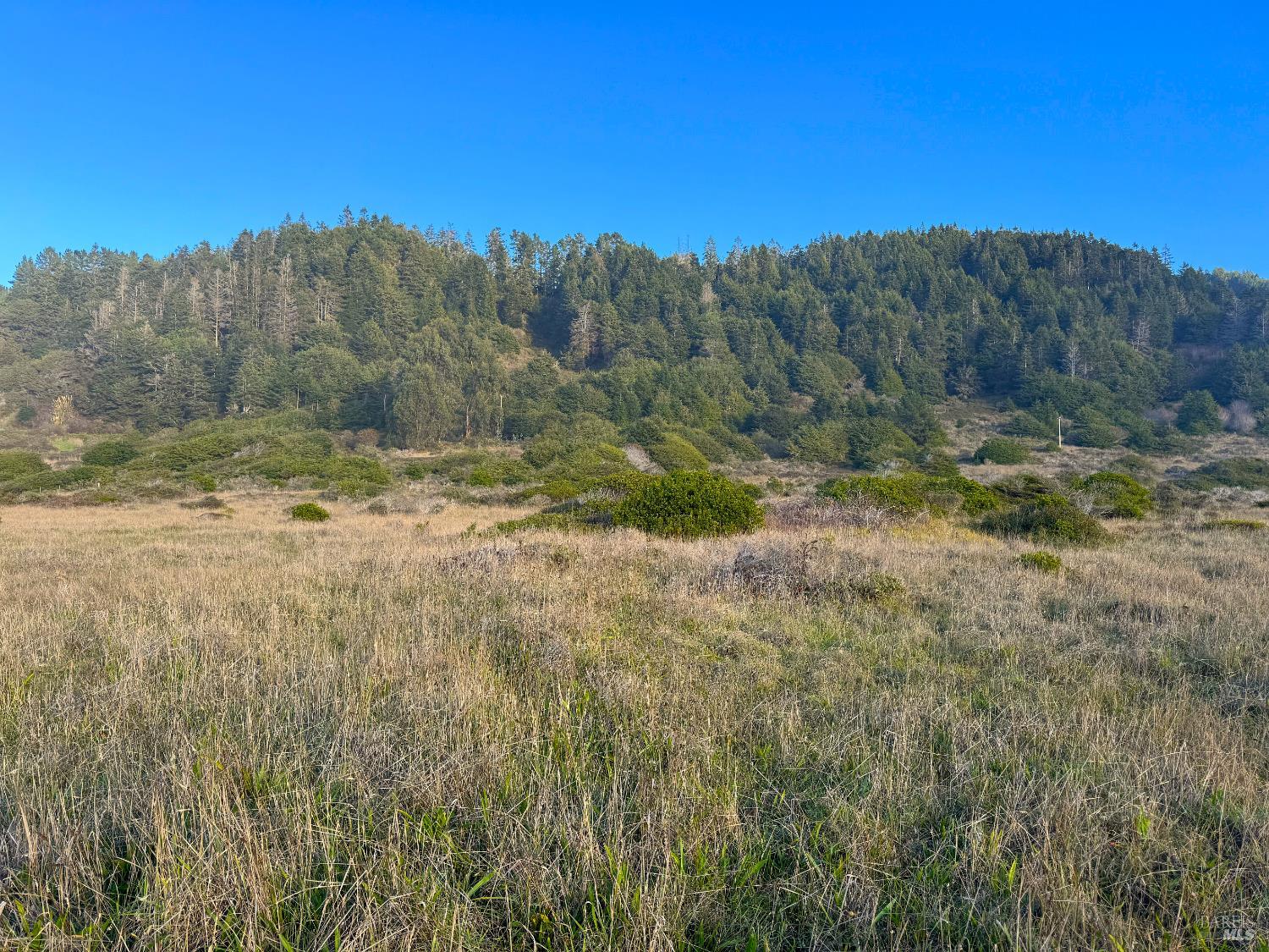 Detail Gallery Image 2 of 9 For 40101 Ca 1 Unkn, Westport,  CA 95488 - – Beds | – Baths