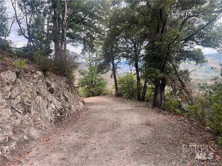 Detail Gallery Image 3 of 15 For 17655 Ford Flat Rd, Cobb,  CA 95426 - – Beds | – Baths