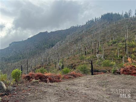 Detail Gallery Image 8 of 15 For 17655 Ford Flat Rd, Cobb,  CA 95426 - – Beds | – Baths