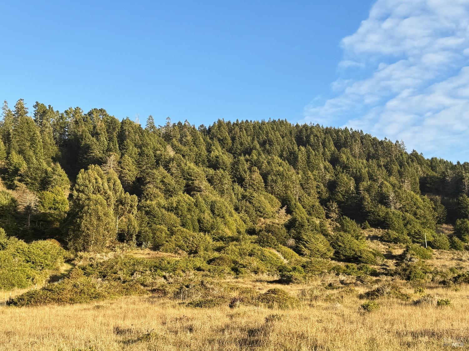 Detail Gallery Image 4 of 9 For 40101 Ca 1 Unkn, Westport,  CA 95488 - – Beds | – Baths