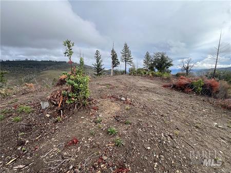 Detail Gallery Image 5 of 15 For 17655 Ford Flat Rd, Cobb,  CA 95426 - – Beds | – Baths