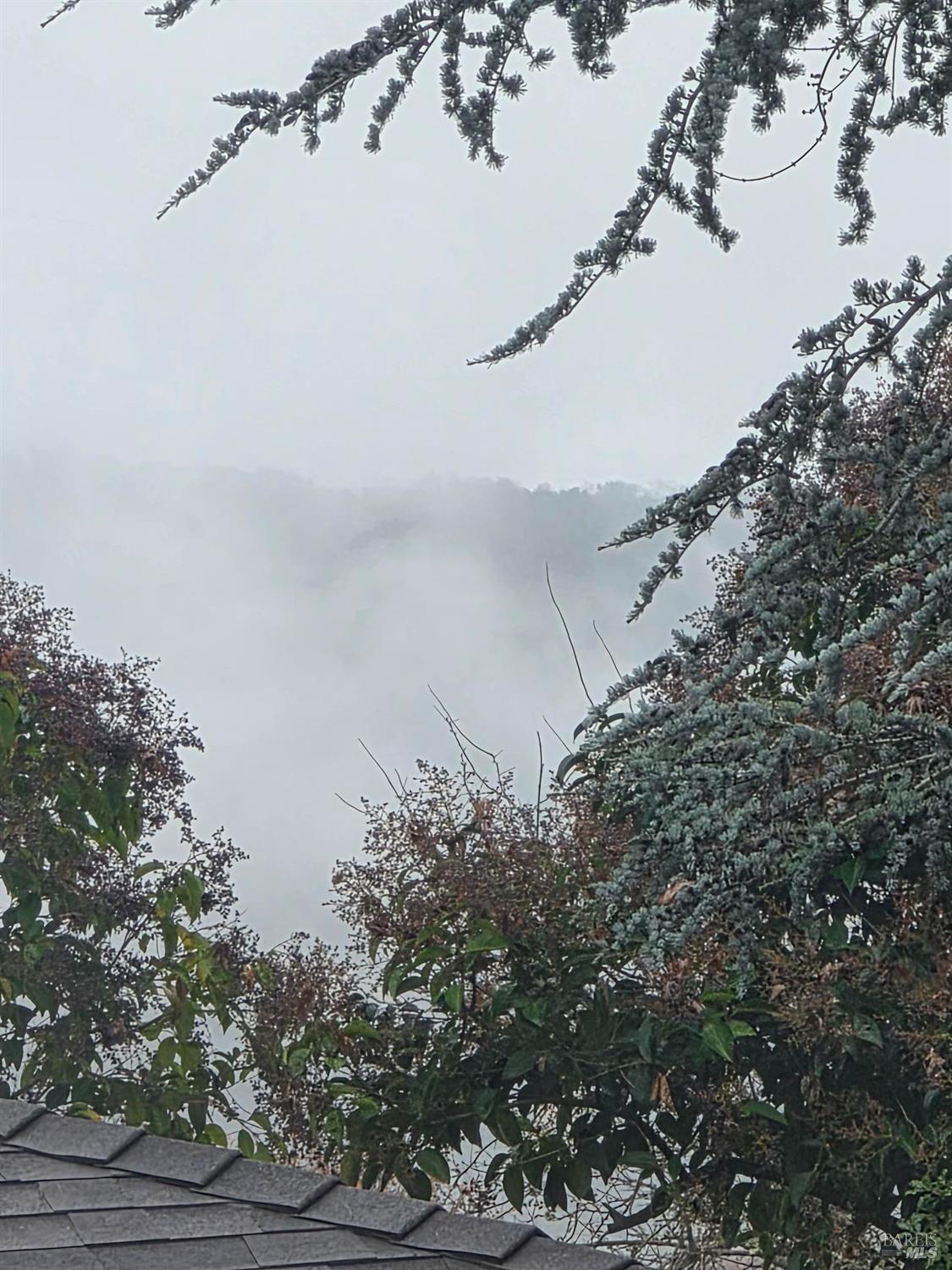 Detail Gallery Image 7 of 8 For 18782 Polley Ln, Sonoma,  CA 95476 - 3 Beds | 2 Baths