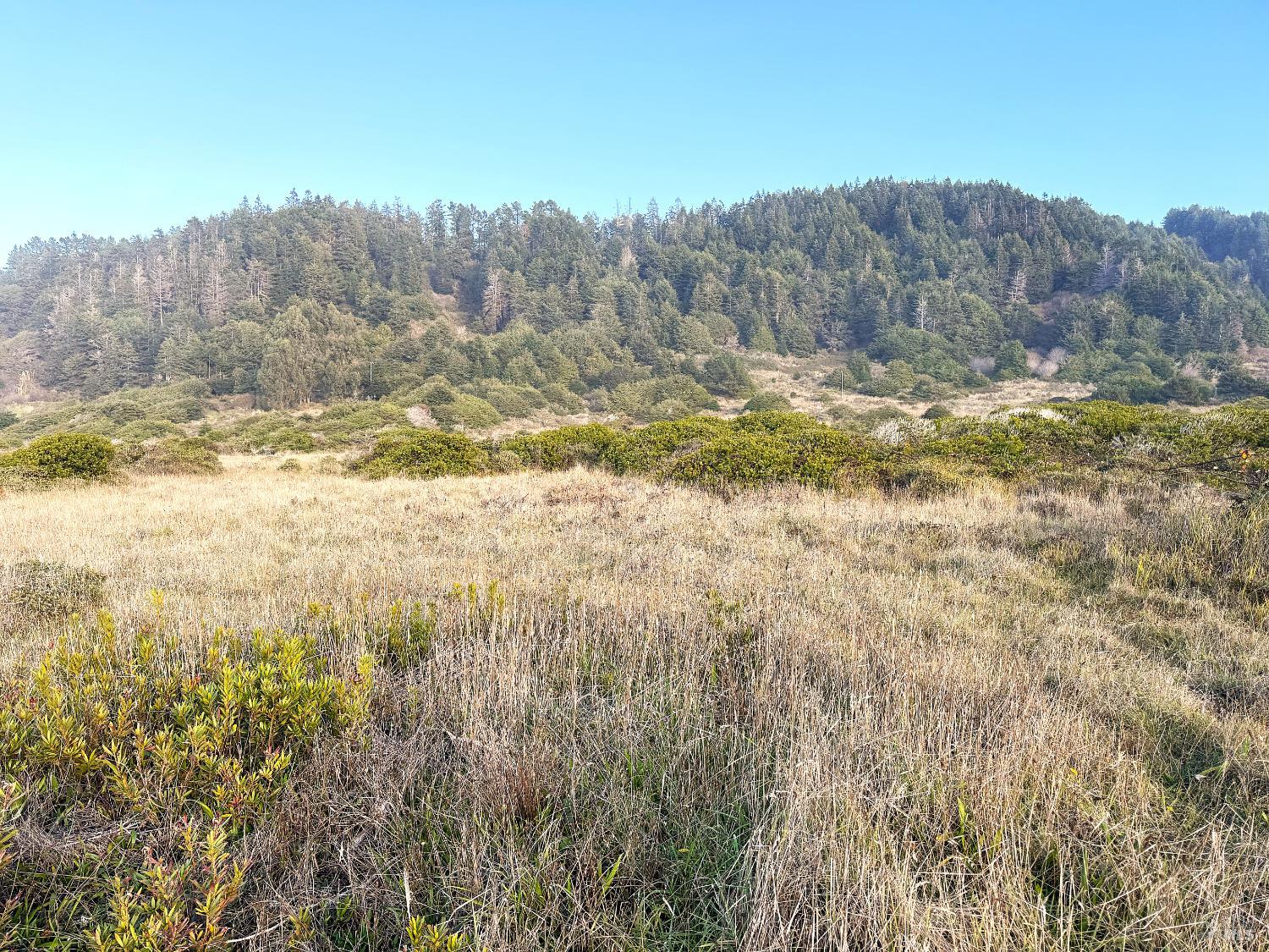 Detail Gallery Image 3 of 9 For 40101 Ca 1 Unkn, Westport,  CA 95488 - – Beds | – Baths