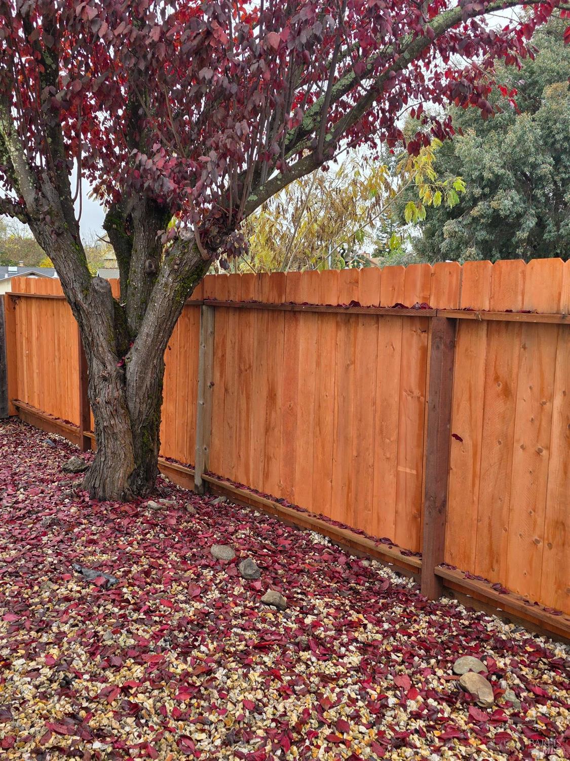 Detail Gallery Image 5 of 8 For 18782 Polley Ln, Sonoma,  CA 95476 - 3 Beds | 2 Baths